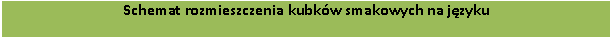 Языковая конструкция